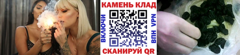 Гашиш гашик  что такое   Королёв 