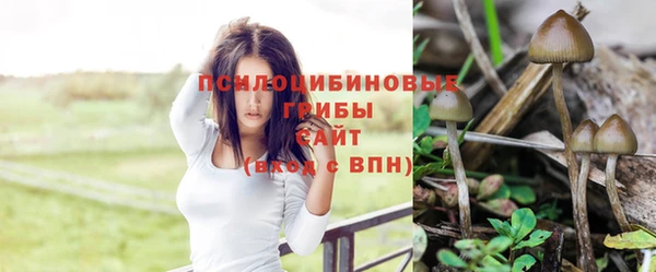 мескалин Абаза