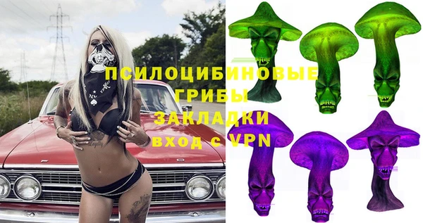 дмт Алексин