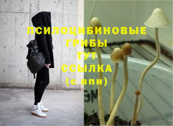 бутират Алзамай