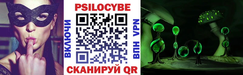 Галлюциногенные грибы Psilocybe  Королёв 